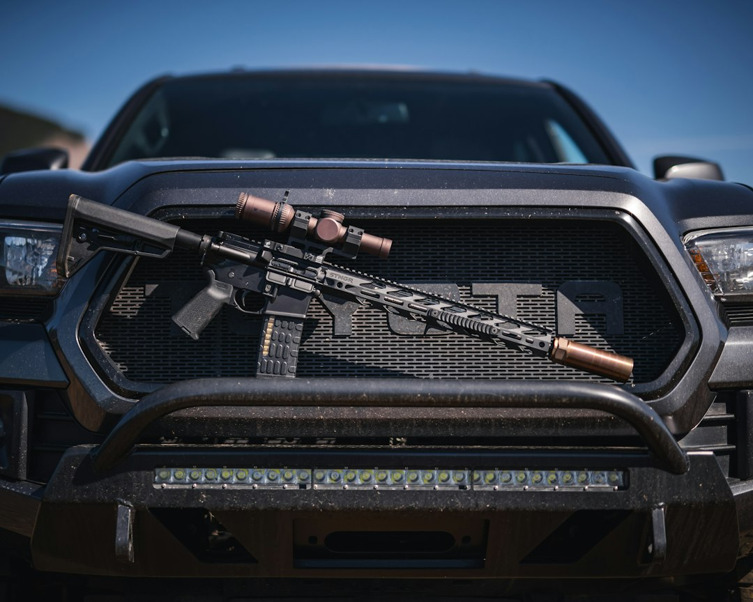 ar 15 controls